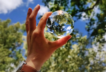 Image of a glass sphere with trees and sky